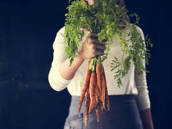 Крупный План Руки Держащей Свежую Органическую Морковь Черном Фоне — стоковое фото