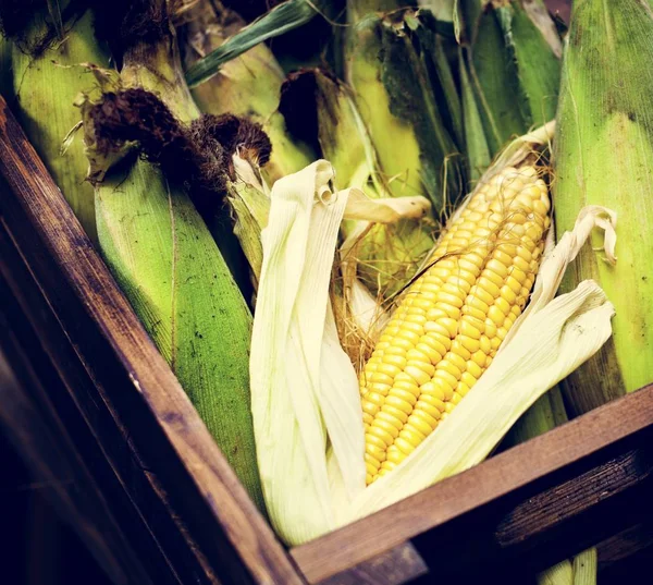 Flygfoto Över Sweencorn Cob Trä Basketr — Stockfoto