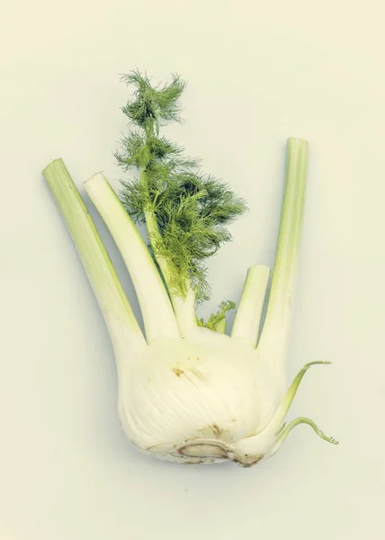 Λαχανικά Φρέσκα Βιολογικά Χωνί — Φωτογραφία Αρχείου