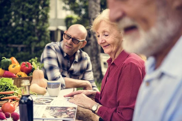 Senior Vrouw Leest Kookboek — Stockfoto