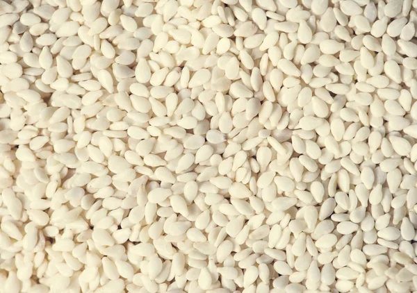 Closeup White Sesame — Stock Photo, Image