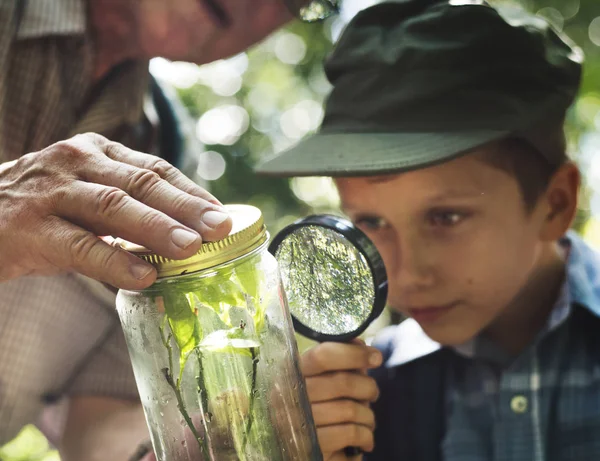 Çocuk Bir Bitki Magnifying Cam Kavanoza Incelenmesi — Stok fotoğraf