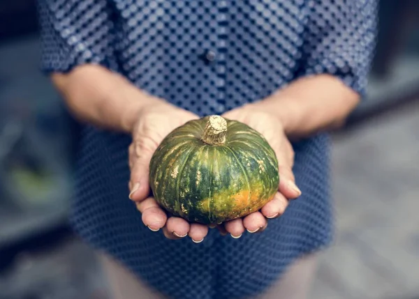 Fresh Small Green Pumpkin — Stock Photo, Image