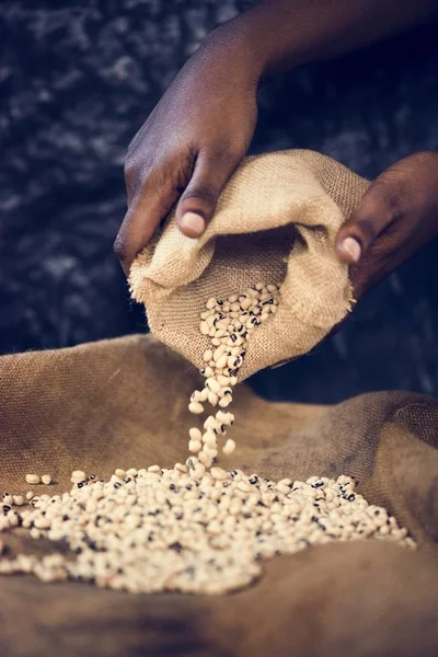 Afrikaanse Man Met Sojabonen Concept — Stockfoto