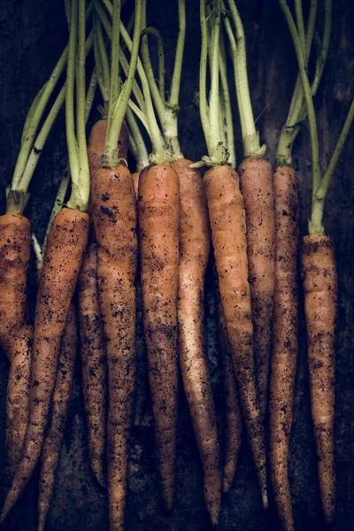 Детская Морковь Органическая Свежая Фермы — стоковое фото