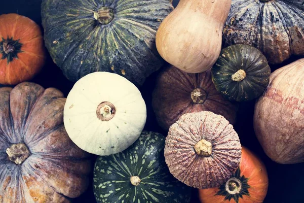 Çeşitli taze balkabaklarının havadan görünüşü