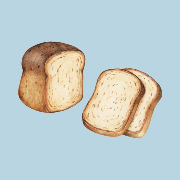 Vers Gebakken Brood Handgetekende Illustratie — Stockfoto