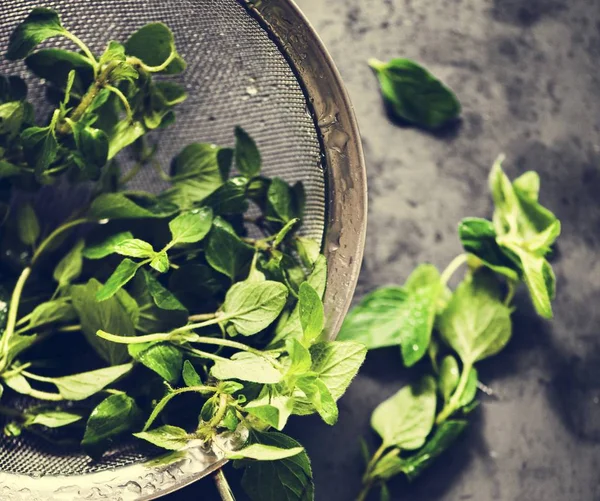 Organik taze fesleğen yaprakları closeup