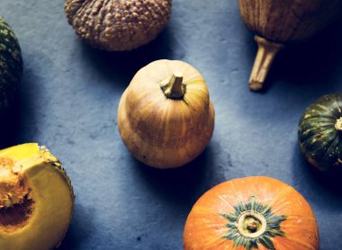 Çeşitli taze balkabaklarının havadan görünüşü