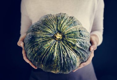 Taze kabak holding eller closeup