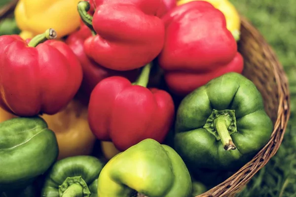 Closeup Sweet Bell Peppers — Stock Photo, Image