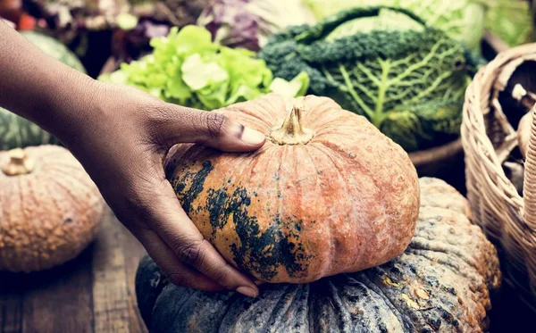 Person Holding Pumpkin — Stock Photo, Image