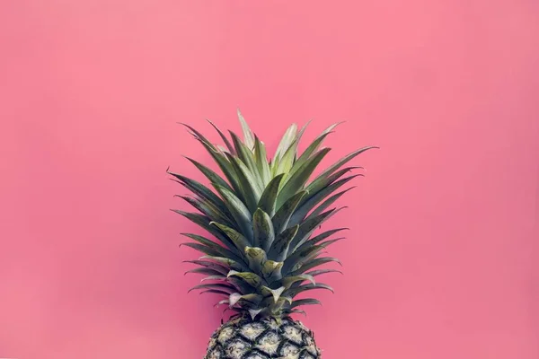 Tropische Ananasfrucht Isoliert Auf Rosa Hintergrund — Stockfoto