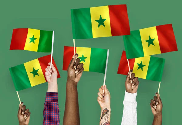 Les Mains Agitant Les Drapeaux Sénégal — Photo