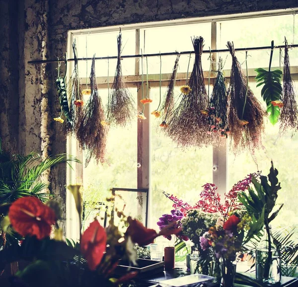 Flower Shop Many Different Fresh Hanging Dried Flowers — Stock Photo, Image