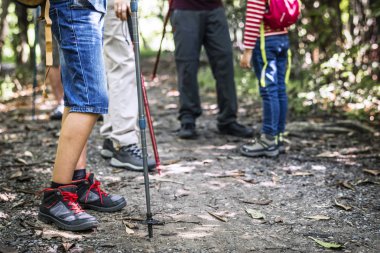 insanların ormanda yürüyüş Polonyalılar ile kısmi görünümü