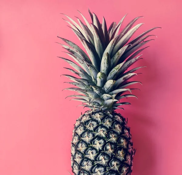 ピンクの背景に分離されたトロピカル パイナップル フルーツ — ストック写真