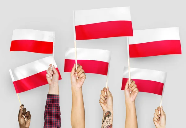 Manos Ondeando Las Banderas Polonia — Foto de Stock