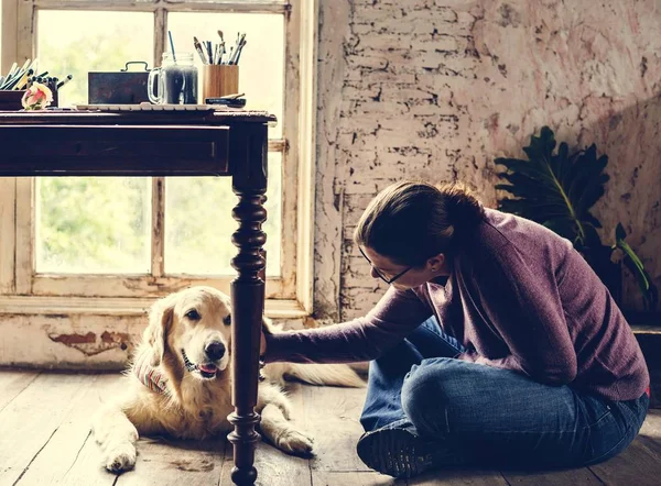 Kaukázusi Padló Petting Arany Vizsla Kutya — Stock Fotó