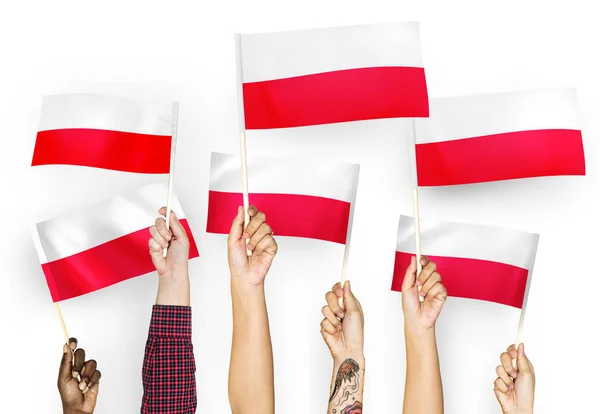 Polonya Bayrakları Sallayarak Elleri — Stok fotoğraf
