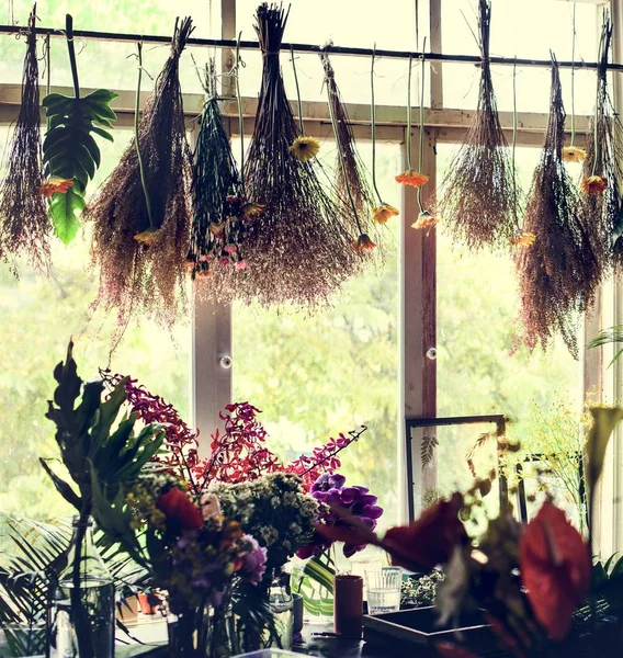 Flower Shop Many Different Fresh Hanging Dried Flowers — Stock Photo, Image