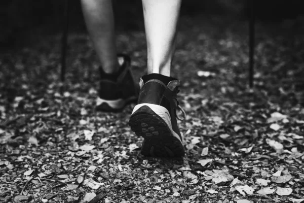 Wandelaar Wandelen Door Een Bos Met Trekking Palen Gedeeltelijke Weergave — Stockfoto