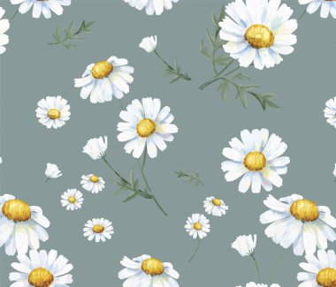 Hand drawn white common daisy pattern clipart