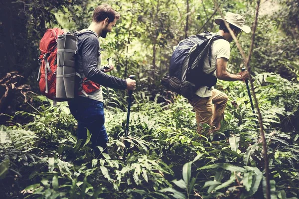 Mężczyźni Trekking Lesie — Zdjęcie stockowe