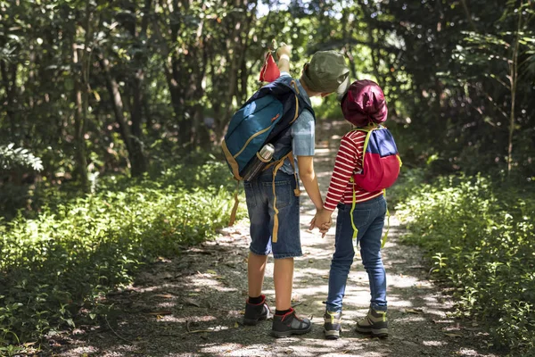 Kız ve erkek kardeş ormandaki bir maceraya