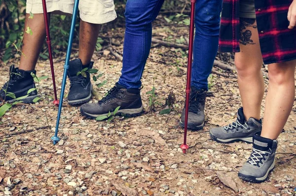 arkadaşlar bir ormanda yürüyüş