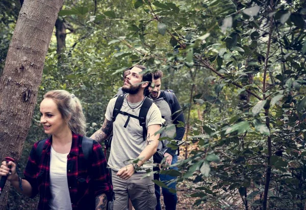Freunde Wandern Wald — Stockfoto