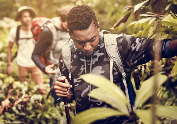 Trekking Uomo Una Foresta — Foto Stock