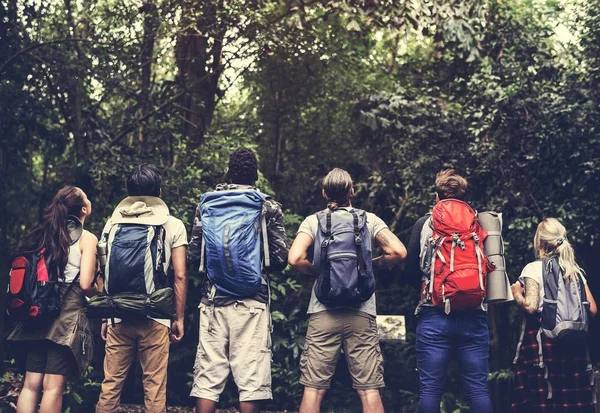 Amigos Caminhando Uma Floresta Visão Traseira — Fotografia de Stock