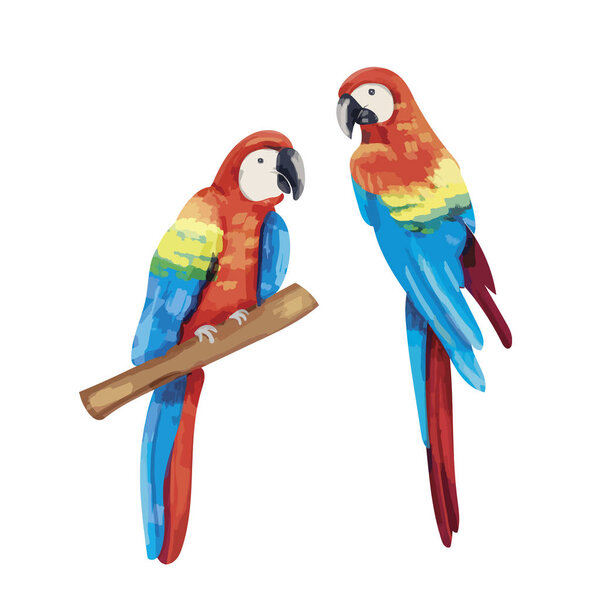 Hand drawn pair of parrots
