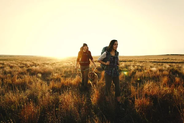 Çift vahşi doğada hiking