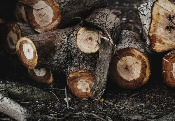 Ahşap günlük kereste dokulu duvar kağıdı