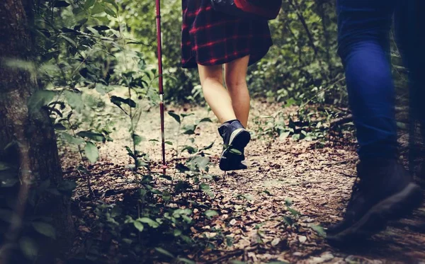 Trekking in a forest