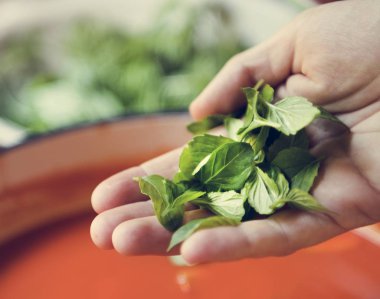 Kremalı domates sosu gıda fotoğraf tarifi fikir