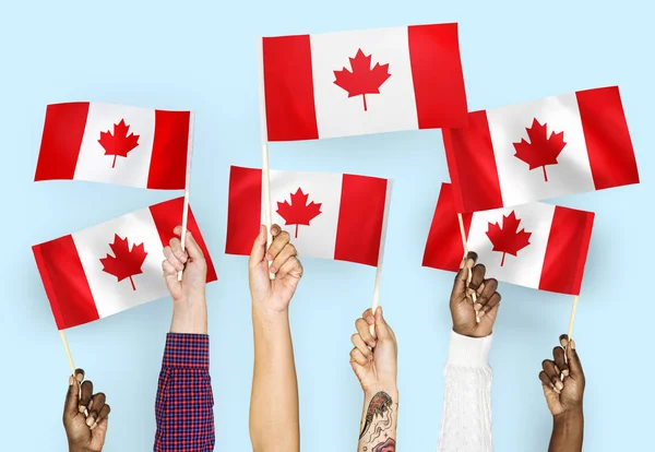 Руки Розмахуючи Прапори Канади — стокове фото