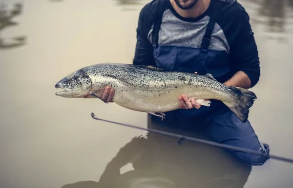 Saumon Pêché Par Homme — Photo