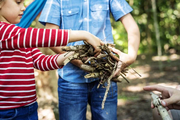 Het Verzamelen Van Brandhout Het Forest Meisje — Stockfoto