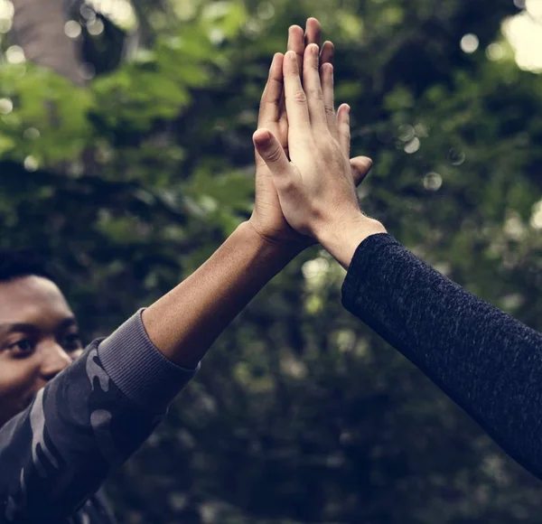 Men Giving High Five Forest — Stock Photo, Image