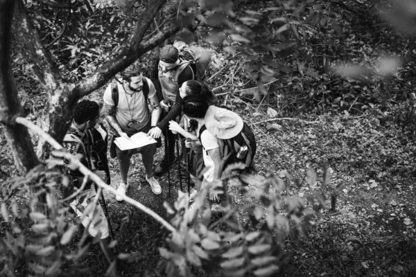 Amigos Caminhando Juntos Uma Floresta — Fotografia de Stock