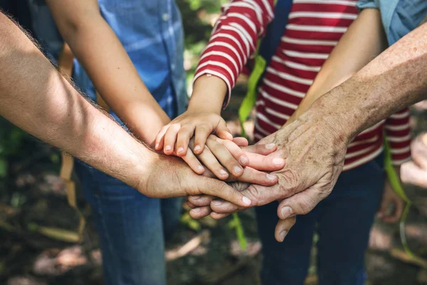 Bir Takım Olarak Eller Istifleme Aile — Stok fotoğraf