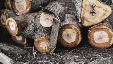 Ahşap günlük kereste dokulu duvar kağıdı