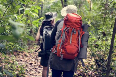 Bir ormanda yürüyüş