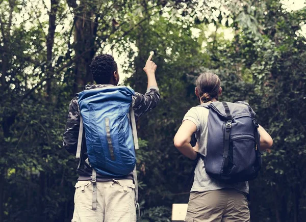 Trekking Bosco — Foto Stock