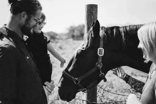 Junges Mädchen Und Familie Mit Pferd Auf Dem Bauernhof — Stockfoto