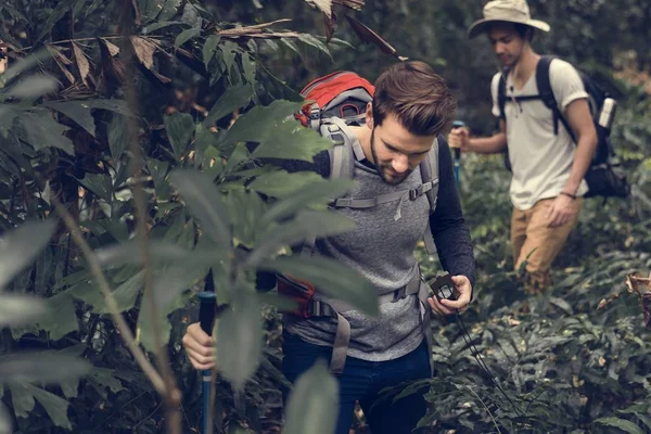 Trekking in a forest