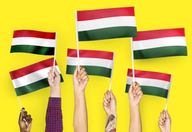 Macaristan bayrakları sallayarak elleri